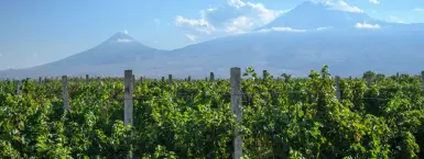 Ինքնատիպություն