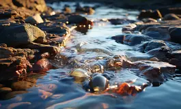 Արտաշատ-Վինկոն