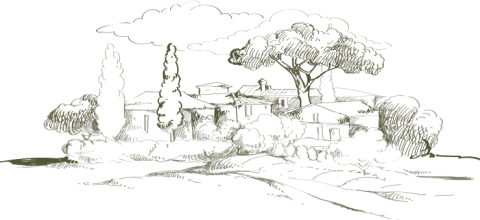 Պատմություն