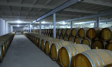 Արտաշատ-Վինկոն