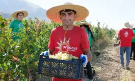 Արտաշատ-Վինկոն