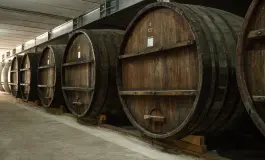 Արտաշատ-Վինկոն