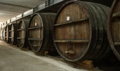 Արտաշատ-Վինկոն